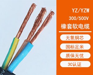 YZ/YZW׵
