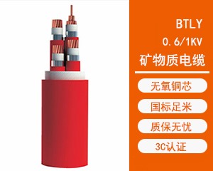 BTLYԿʵ